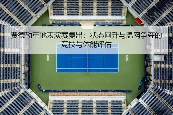 fei-de-lei-cao-di-biao-yan-sai-fu-chu-zhuang-tai-hui-sheng-yu-wen-wang-zheng-duo-de-jing-ji-yu-ti-neng-ping-gu-2-544.jpg