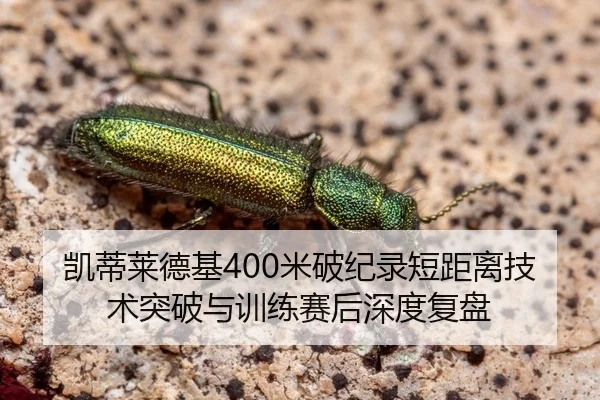 凯蒂莱德基400米破纪录短距离技术突破与训练赛后深度复盘