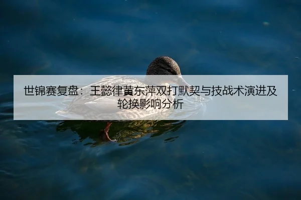shi-jin-sai-fu-pan-wang-yi-lv-huang-dong-ping-shuang-da-mo-qi-yu-ji-zhan-shu-yan-jin-ji-lun-huan-ying-xiang-fen-xi-2-301.jpg